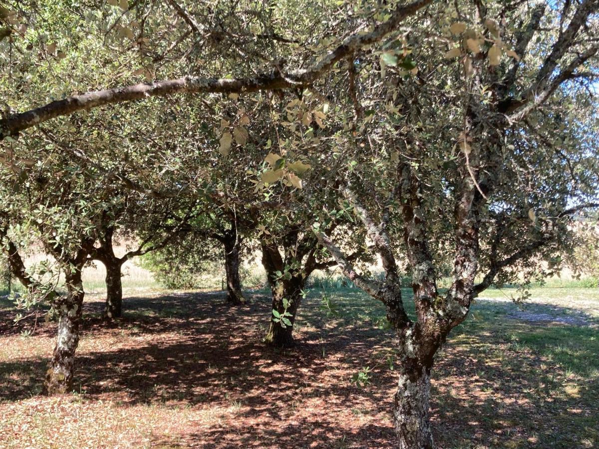 Le Murmure Des Fees Issigeac Exterior foto
