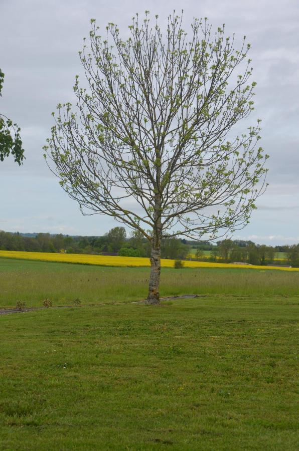 Le Murmure Des Fees Issigeac Exterior foto